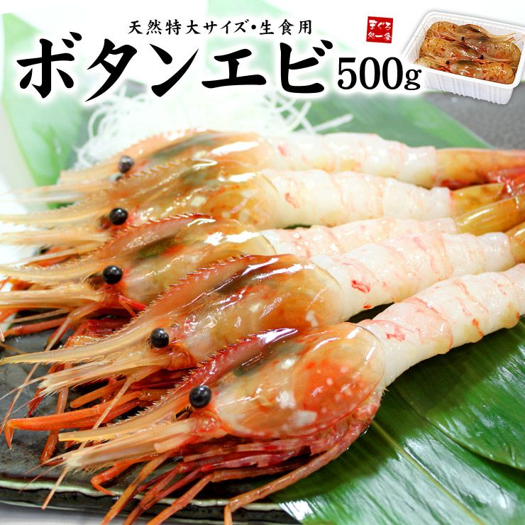 送料無料】超特大ボタンエビ500g（9～12尾） yd5[[ぼたんエビ500g