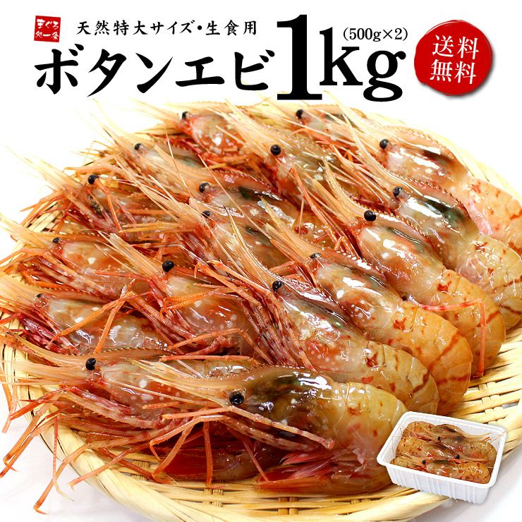 送料無料 超特大ボタンエビ1kg（18～24尾）ぷりっぷり甘みたっぷり特大サイズの天然ぼたんエビを獲れたて急速冷凍 お刺身OK《ref-eb2》 yd5[[ぼたんエビ500g-2p] | まぐろ処一条